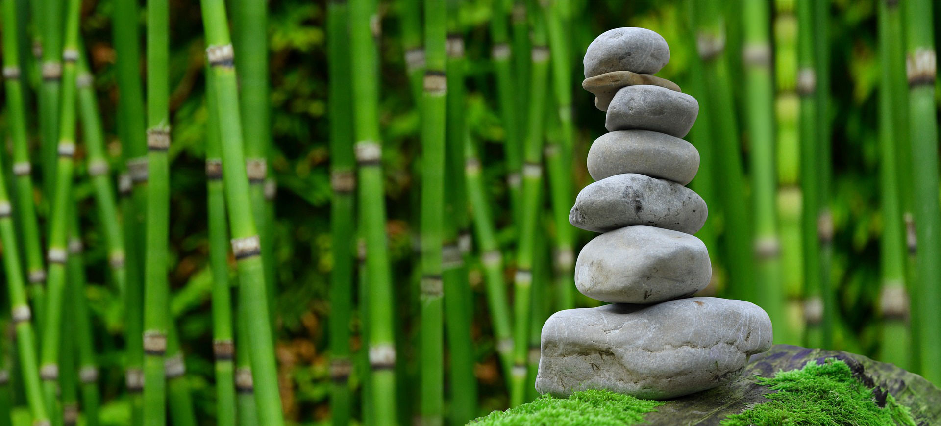 Reiki Training